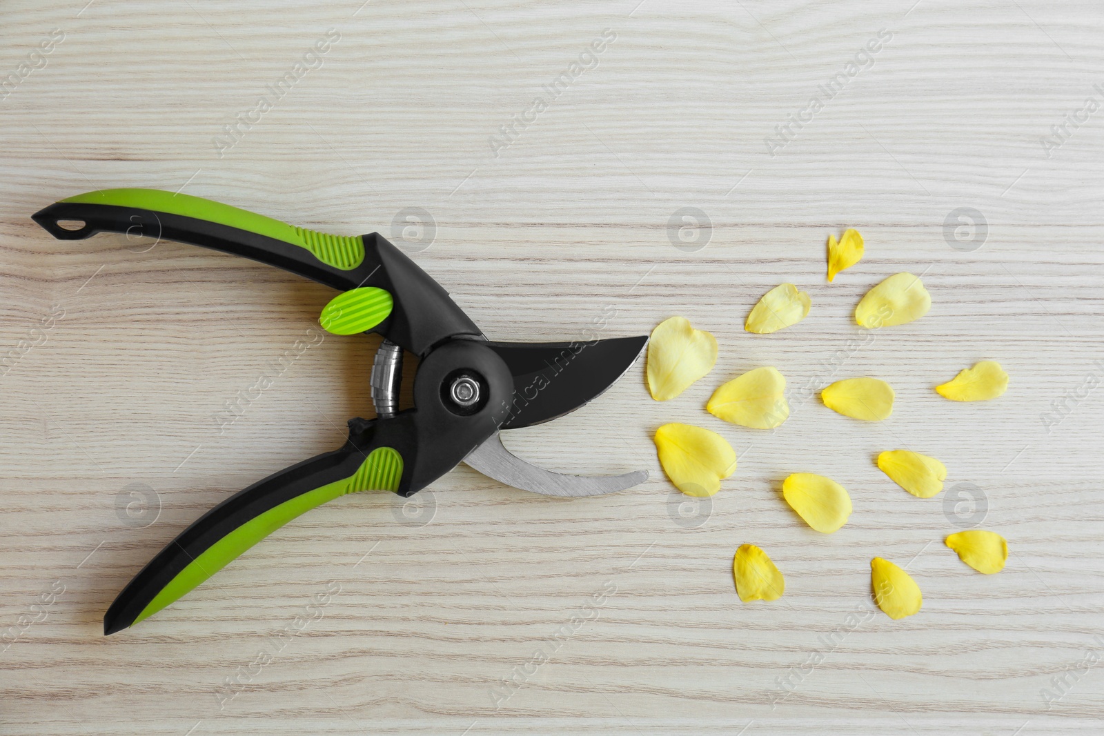 Photo of Secateur and yellow petals on wooden table, flat lay