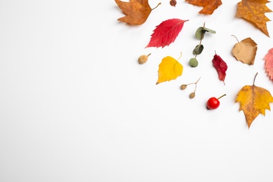 Photo of Flat lay composition with autumn leaves and space for text on white background