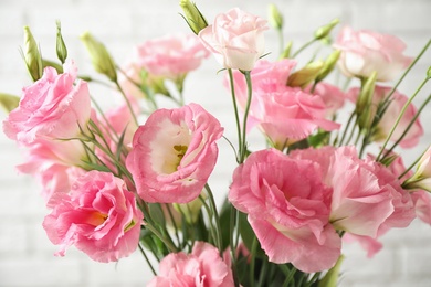 Photo of Beautiful Eustoma flowers on light background, closeup