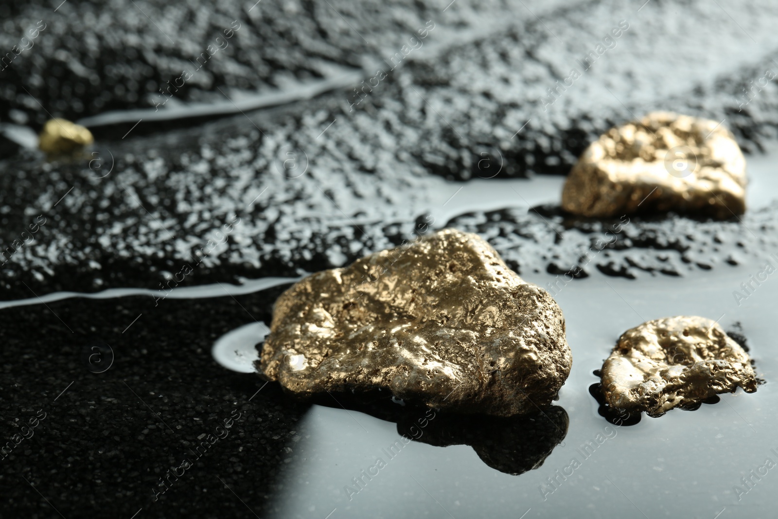 Photo of Shiny gold nuggets on wet black stone, closeup. Space for text
