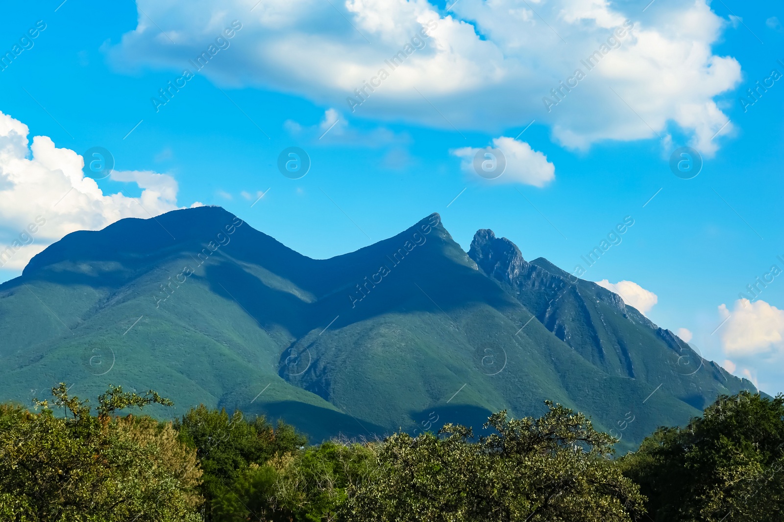 Photo of Picturesque landscape with trees and high mountains under blue sky