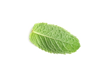 Photo of Fresh green mint leaf on white background