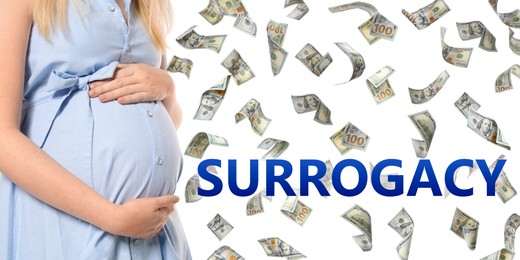 Image of Surrogacy concept. Closeup view of young pregnant woman and flying money on white background, banner design