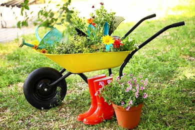 Photo of Wheelbarrow with gardening tools and flowers on grass outside