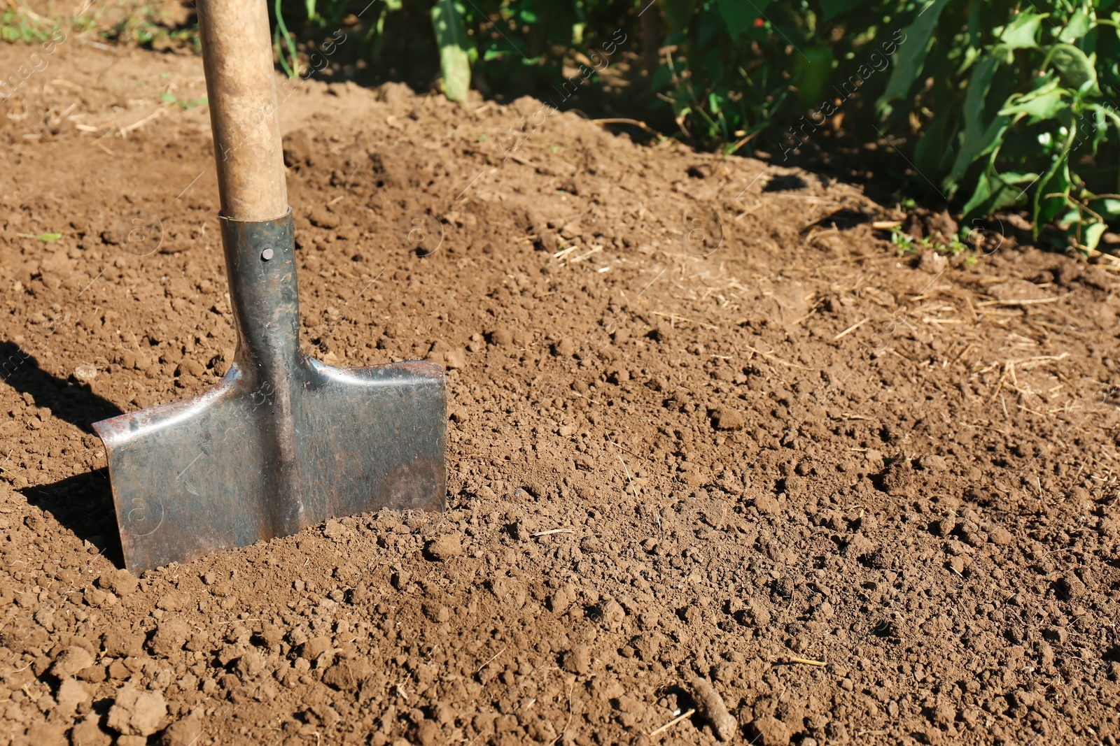 Photo of Metal shovel in soil, space for text. Gardening tool