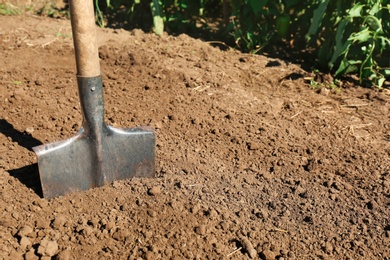 Photo of Metal shovel in soil, space for text. Gardening tool