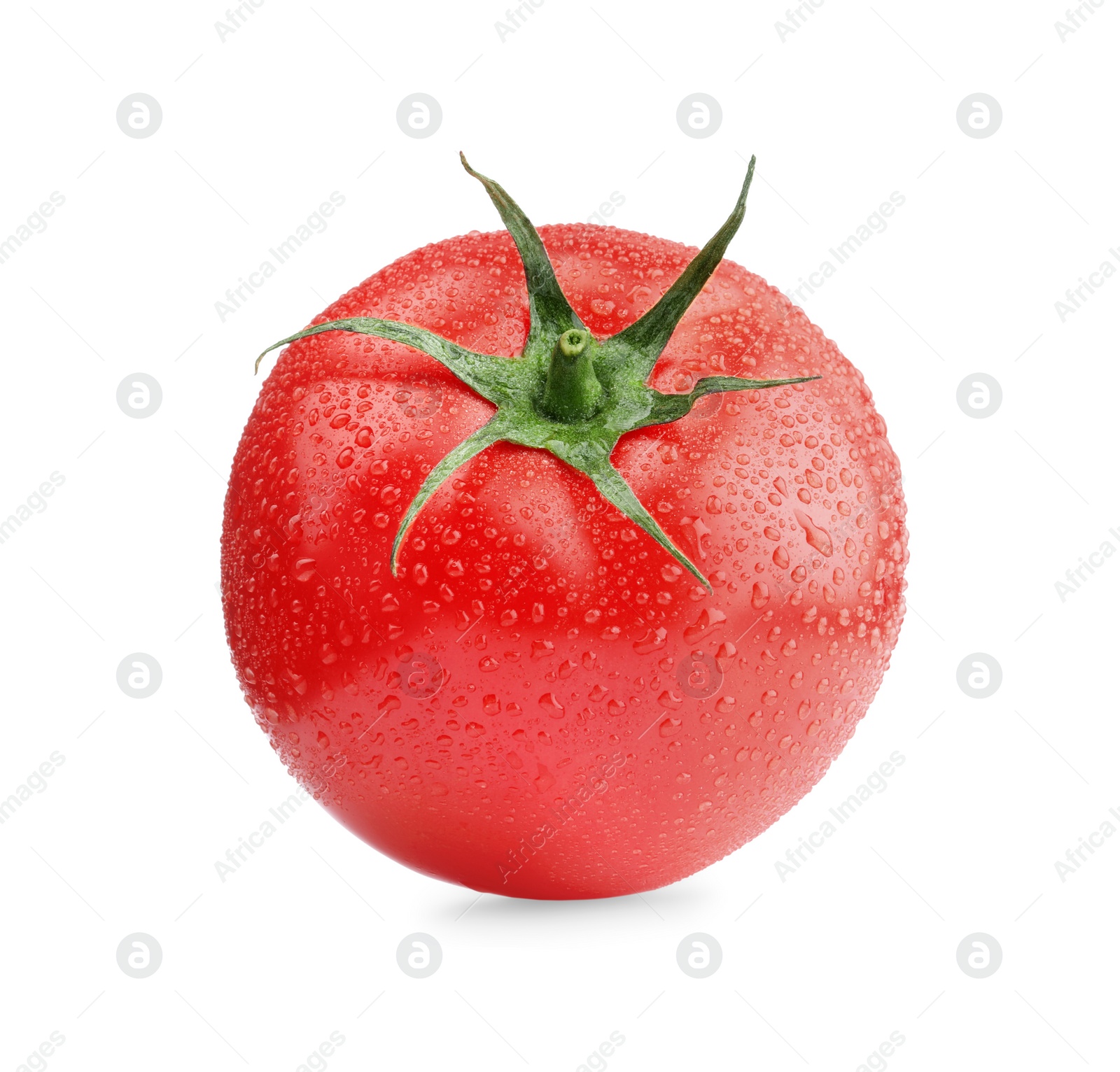 Photo of One red ripe tomato with water drops isolated on white