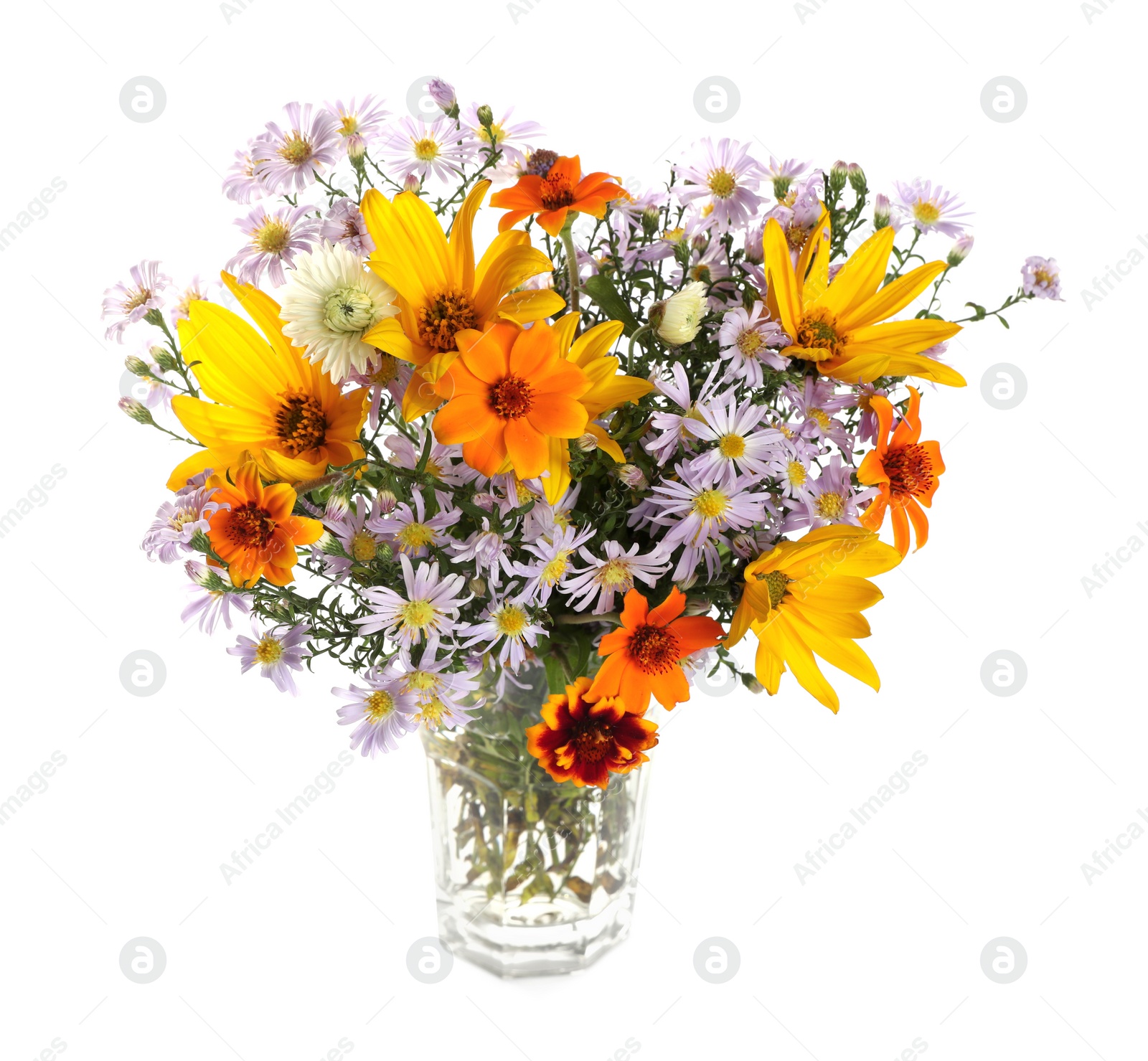 Photo of Beautiful wild flowers in vase isolated on white