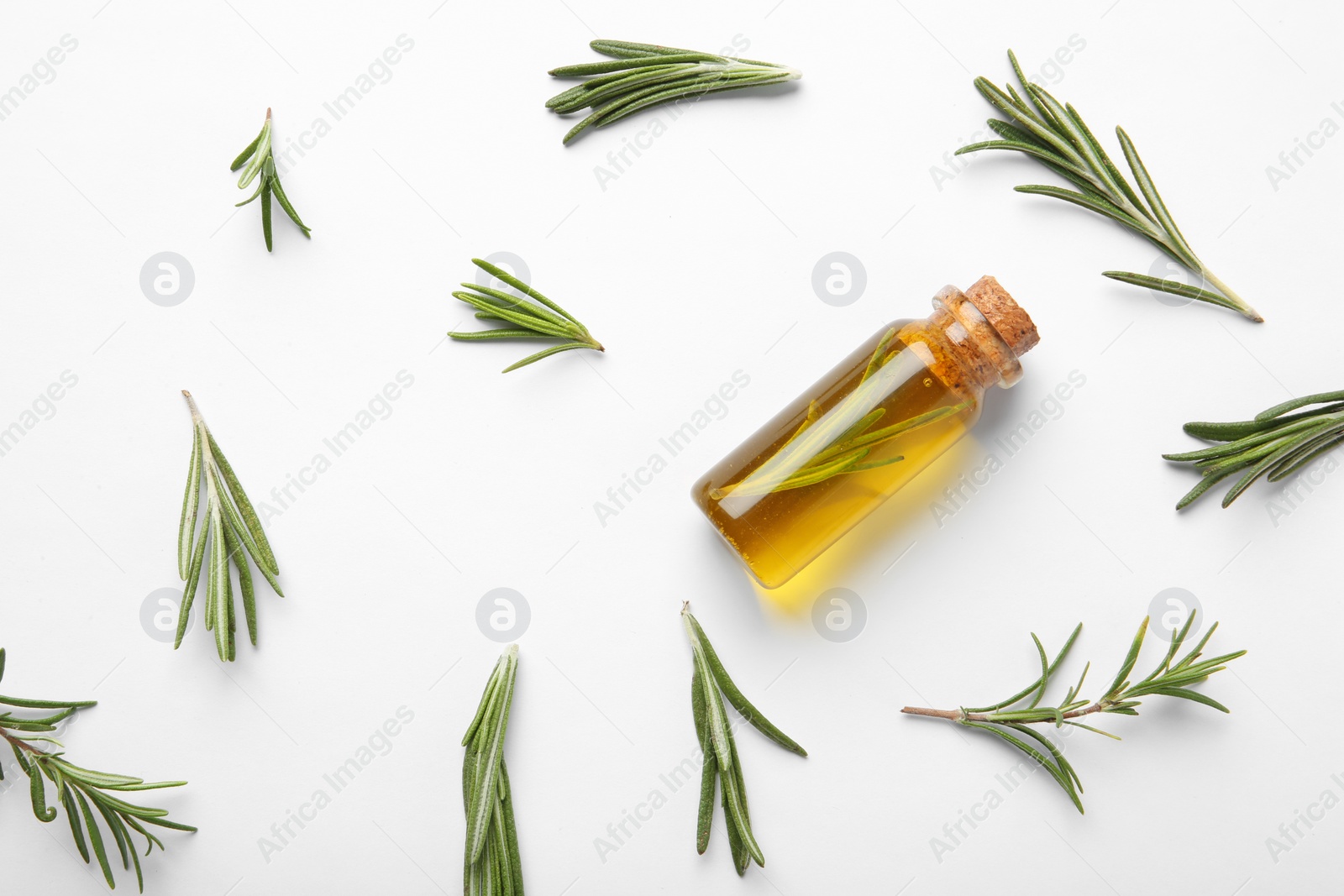 Photo of Bottle of rosemary oil and fresh twigs on white background, top view