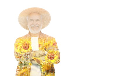 Double exposure of happy farmer and sunflower field on white background