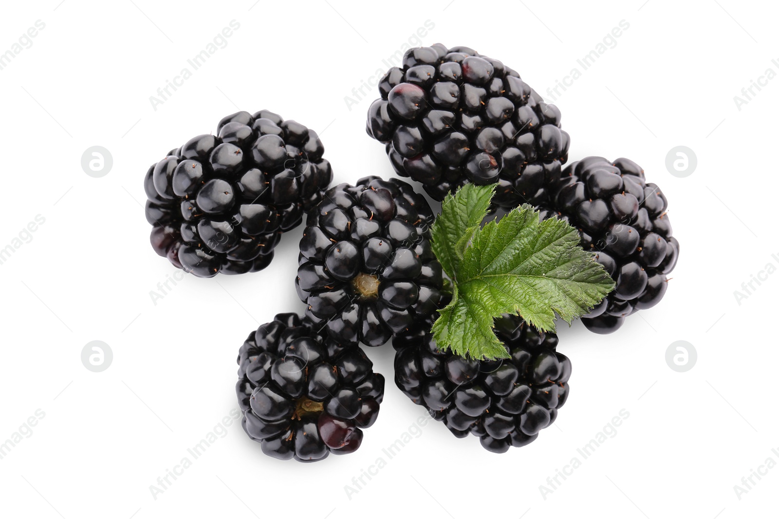 Photo of Tasty ripe blackberries and leaf on white background, top view