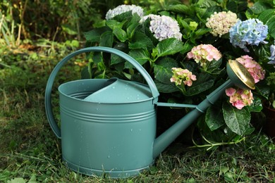 Photo of Watering can near beautiful blooming hortensia plants in garden