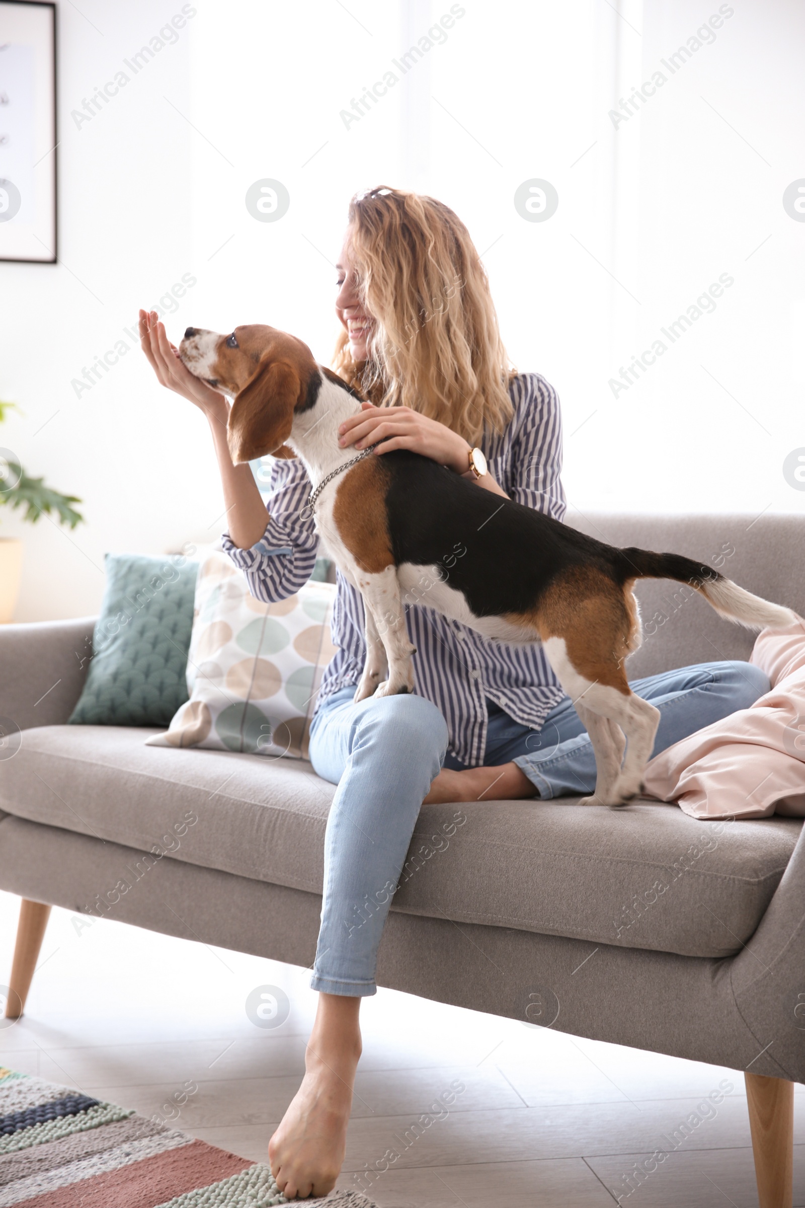 Photo of Young woman with her dog on sofa at home