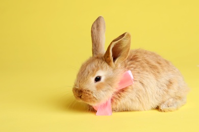 Adorable furry Easter bunny with cute bow tie on color background, space for text