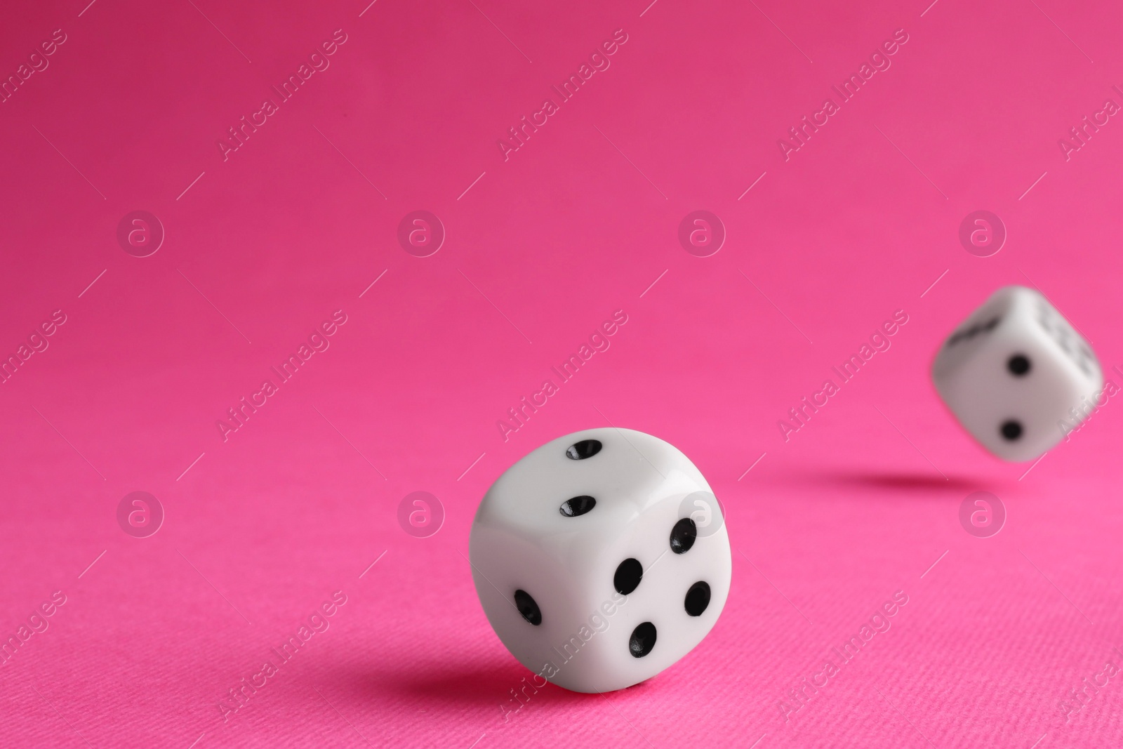 Photo of Two white game dices falling on pink background, closeup. Space for text