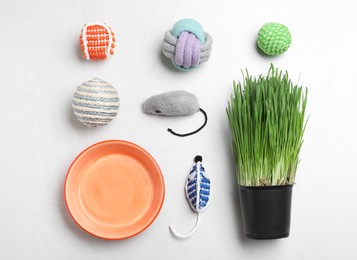 Different pet toys and feeding bowl on white background, top view