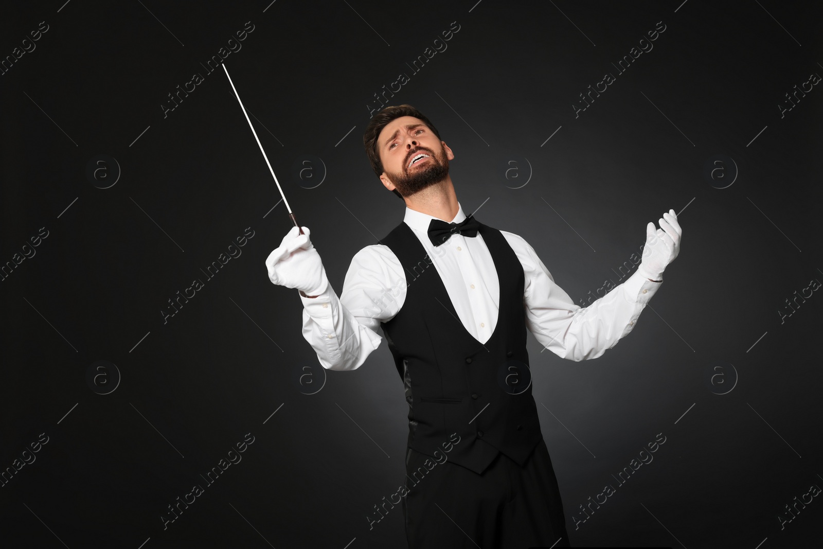 Photo of Professional conductor with baton on black background