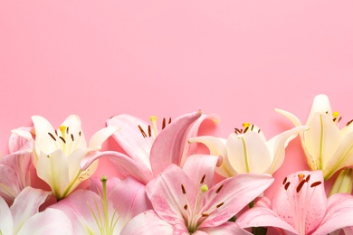 Photo of Composition with beautiful blooming lily flowers on color background