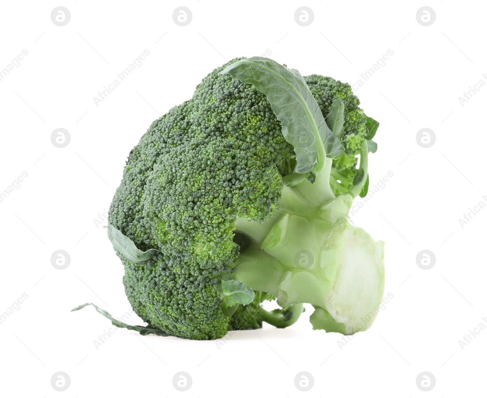 Photo of Fresh green broccoli isolated on white. Organic food