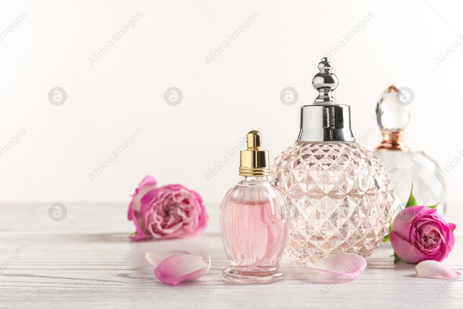 Photo of Different bottles of perfume and flowers on light background, space for text