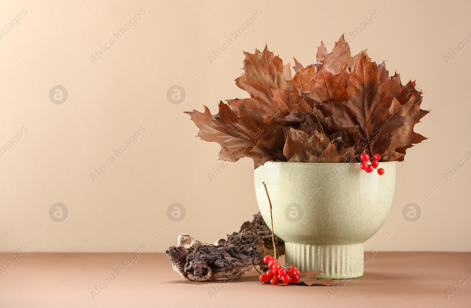 Photo of Composition with beautiful autumn leaves and red berries on table against beige background, space for text