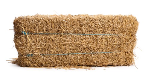 Photo of Bale of dried straw isolated on white