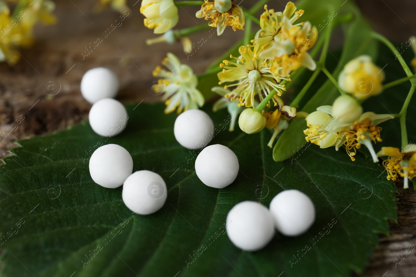 Photo of Homeopathic remedy and linden flowers on wooden table, closeup