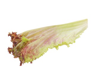 Photo of Leaf of fresh red coral lettuce isolated on white