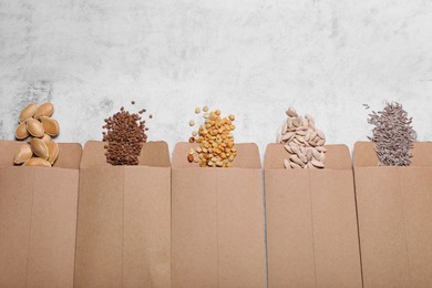 Many different vegetable seeds on light grey table, flat lay. Space for text