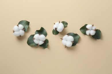 Cotton flowers and eucalyptus leaves on beige background, flat lay