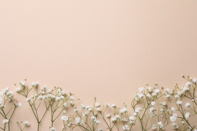 Photo of Beautiful gypsophila flowers on beige background, flat lay. Space for text