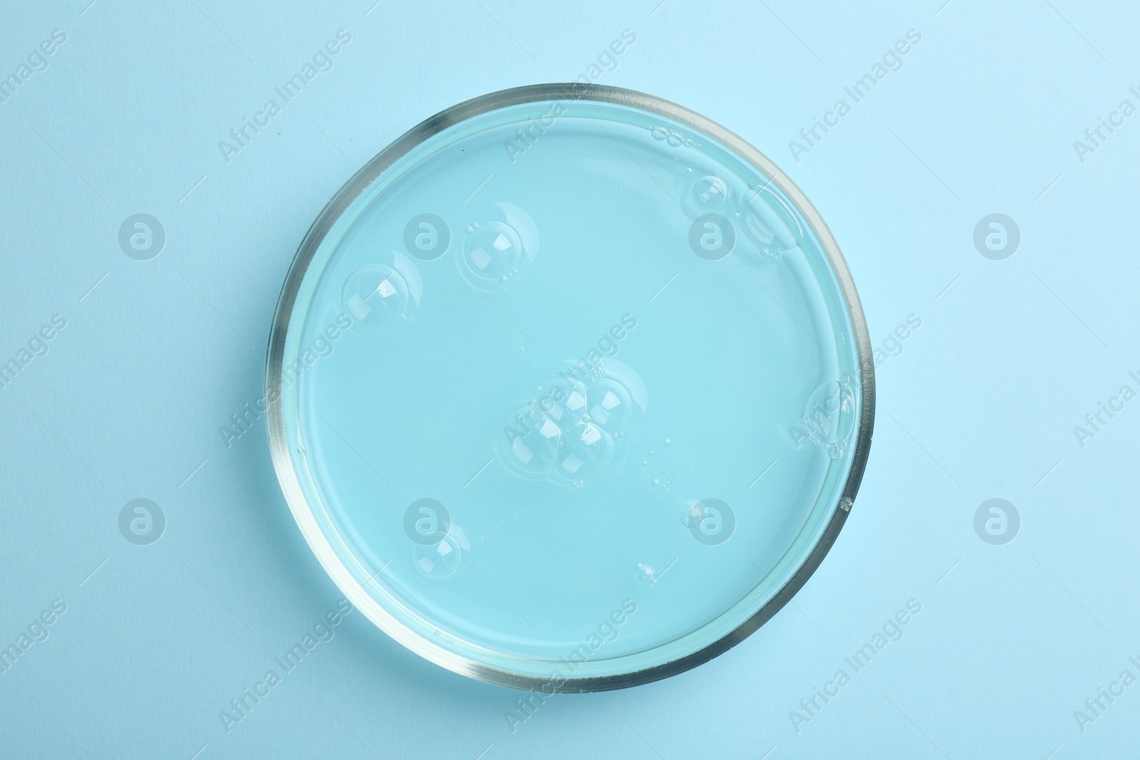 Photo of Petri dish with liquid sample on light blue background, top view