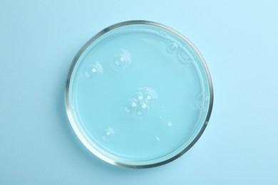 Photo of Petri dish with liquid sample on light blue background, top view