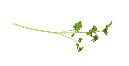 Fresh green organic parsley on white background