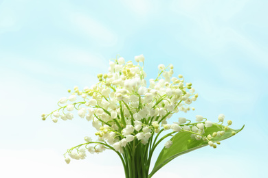 Beautiful lily of the valley flowers on light background