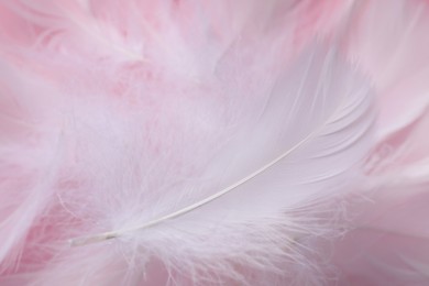 Photo of Many fluffy white feathers as background, closeup
