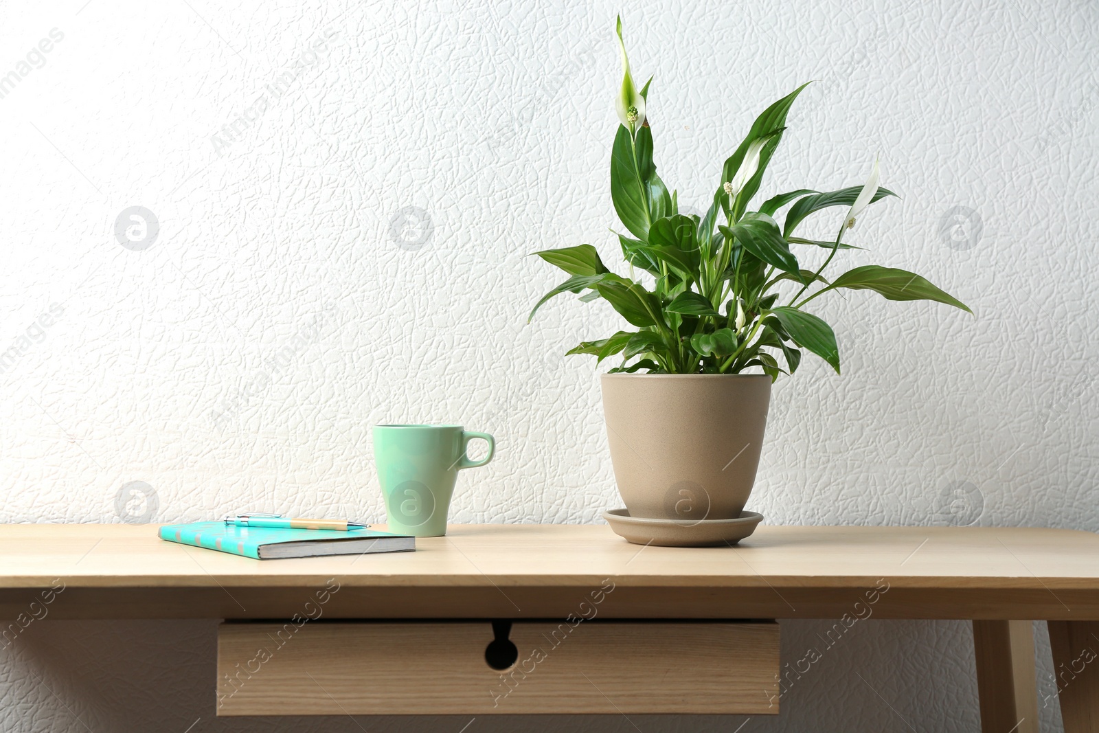 Photo of Potted peace lily plant, cup and notebook on wooden table near white wall. Space for text