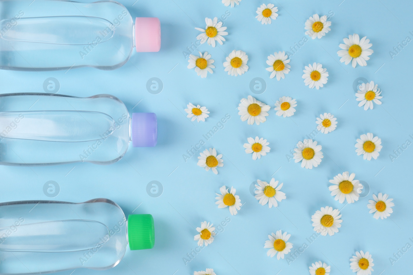 Photo of Bottles with baby oil and daisies on light blue background, flat lay