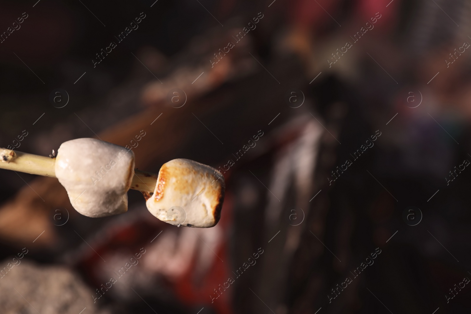 Photo of Fried marshmallows on stick against blurred background, closeup. Summer camp