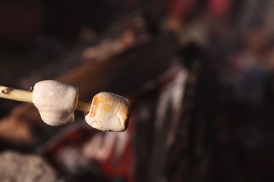 Photo of Fried marshmallows on stick against blurred background, closeup. Summer camp