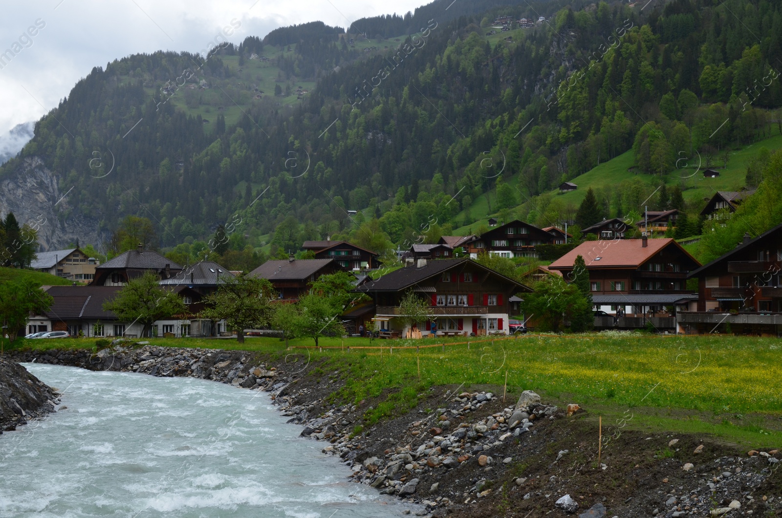 Photo of Beautiful view of cottage village, green plants and stream in mountains