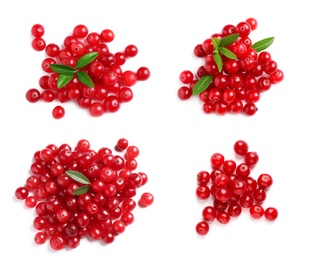 Set of fresh ripe cranberries on white background, top view