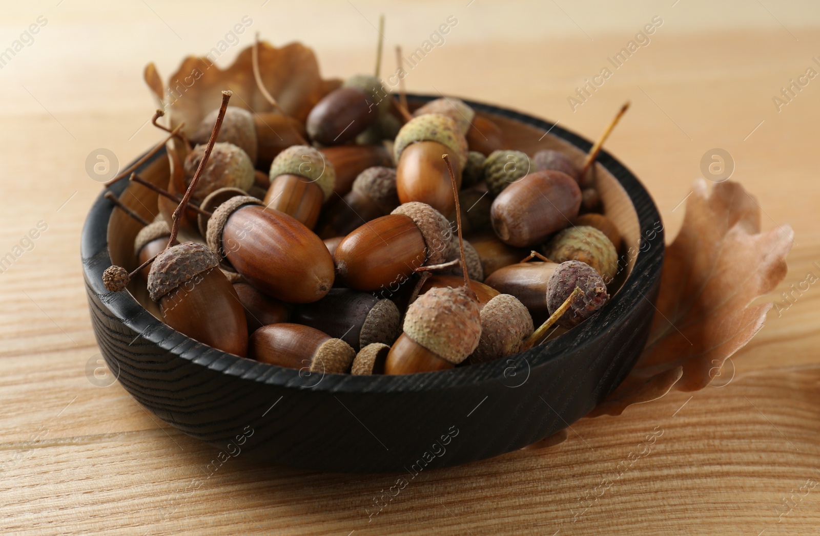 Photo of Acorns and oak leaves on wooden table
