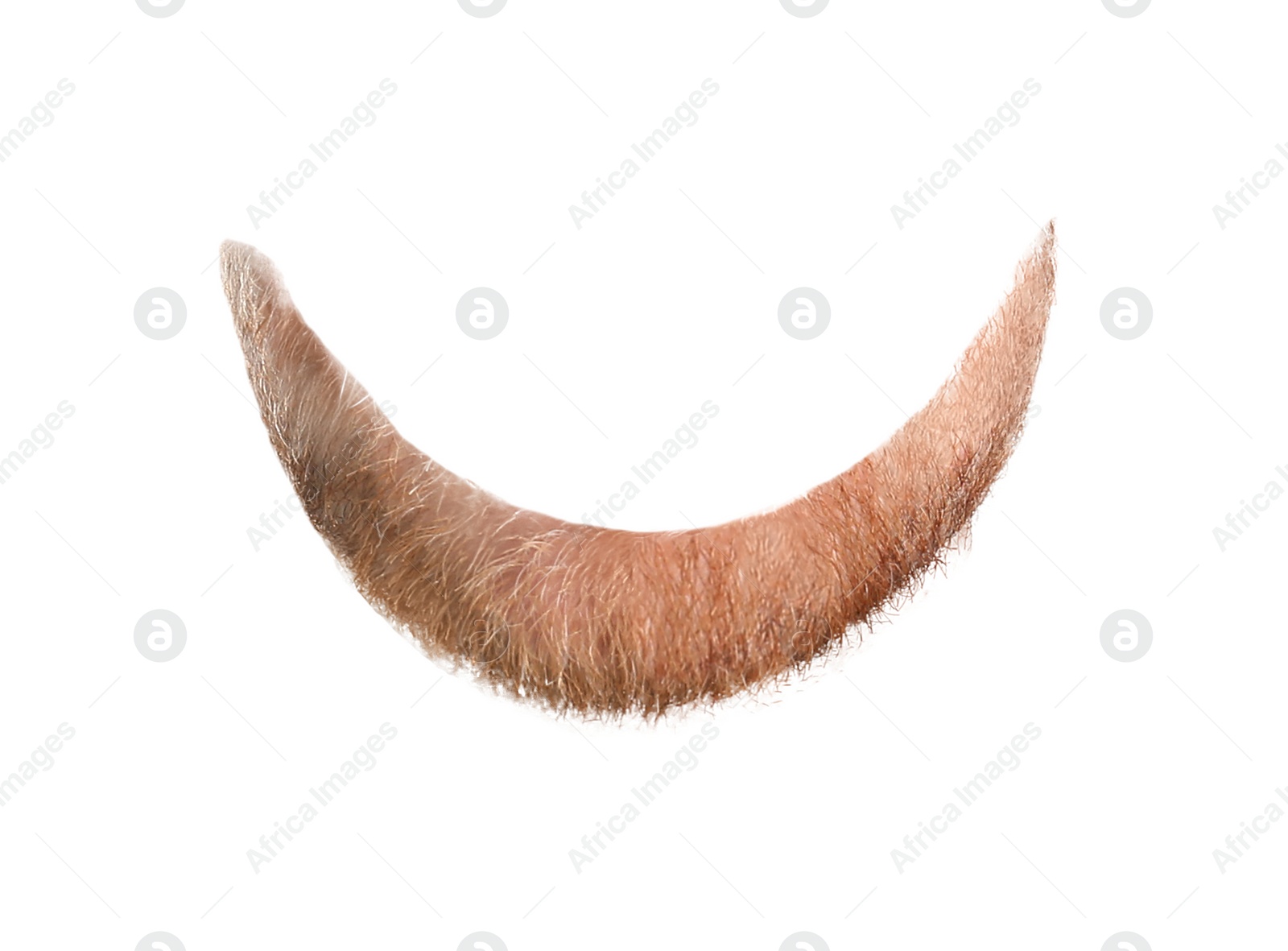 Image of Stylish beard isolated on white. Facial hair