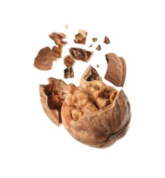 Broken walnut and pieces of shell flying on white background
