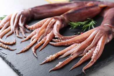 Photo of Fresh raw squids on slate board, closeup