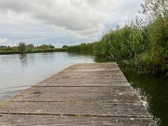 Picturesque view of river reeds and cloudy sky