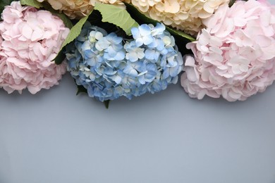 Photo of Beautiful hydrangea flowers on gray background, top view. Space for text