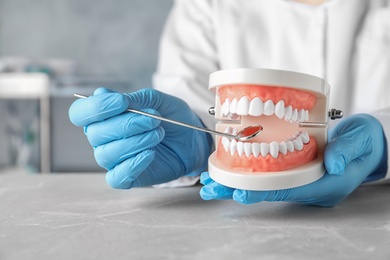 Photo of Dentist holding educational model of oral cavity at table in clinic, closeup