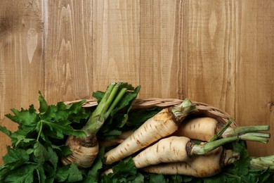 Tasty fresh ripe parsnips in wicker basket on wooden table, top view. Space for text